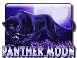 Panther Moon Mega888 slot at ONG777